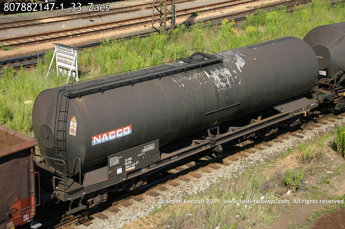 807882147-1_33_Zaes.jpg